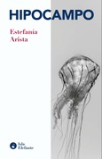 Hipocampo